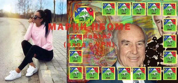 шишки Белокуриха