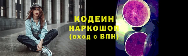 шишки Белокуриха