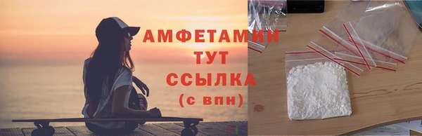 шишки Белокуриха