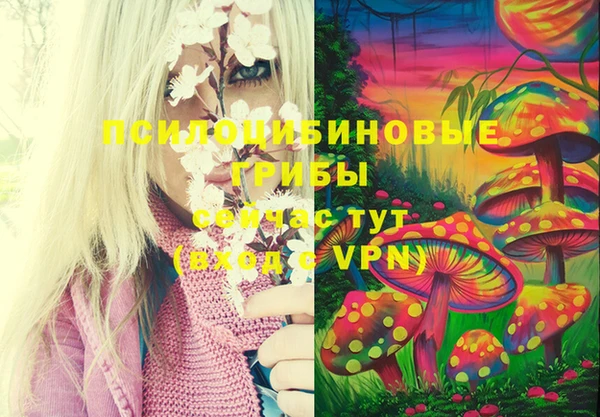 эйфоретик Белоозёрский