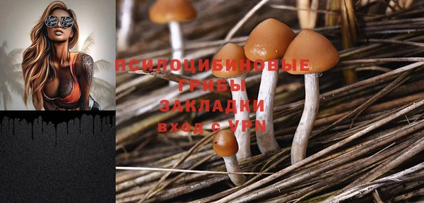 дмт Беломорск