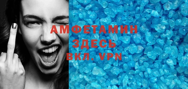 шишки Белокуриха