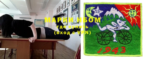 шишки Белокуриха