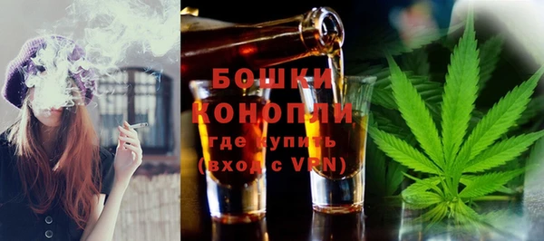 шишки Белокуриха