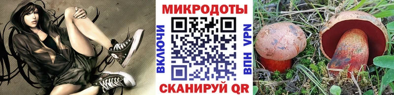 Псилоцибиновые грибы мицелий  Купить где  Аткарск 